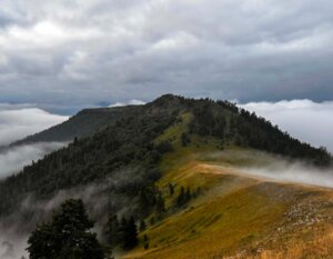 Borjomi-Kharagauli